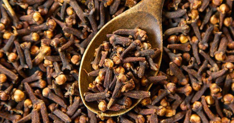 Freepik/KamranAydinov